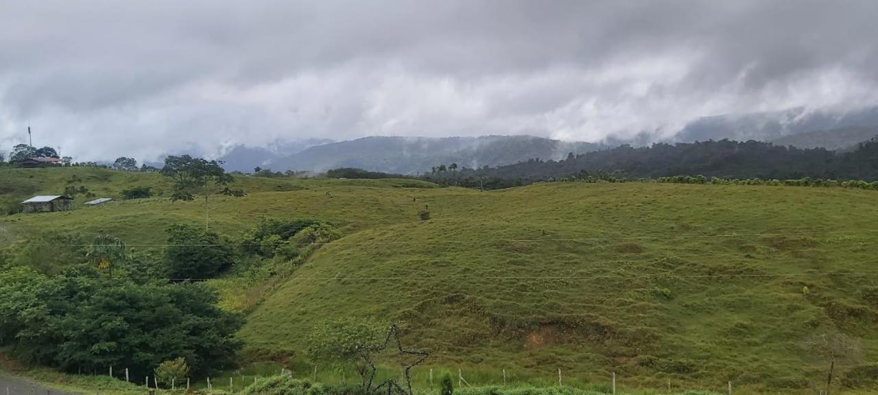 El Rincon De Las Flores Bajo Tigre Εξωτερικό φωτογραφία