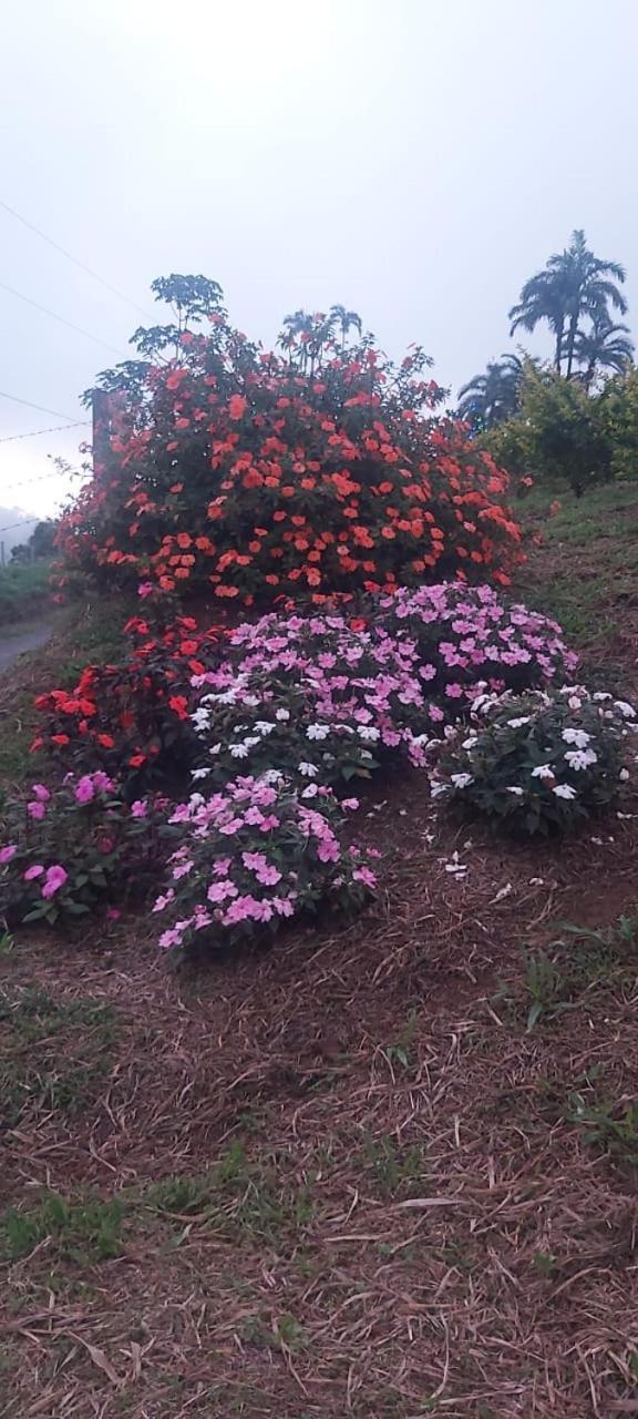 El Rincon De Las Flores Bajo Tigre Εξωτερικό φωτογραφία