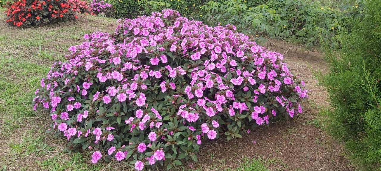 El Rincon De Las Flores Bajo Tigre Εξωτερικό φωτογραφία